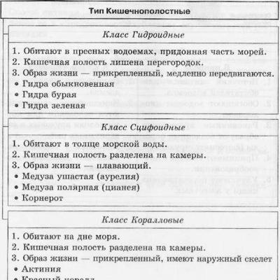 Общая характеристика кишечнополостных, образ жизни, строение, роль в природе