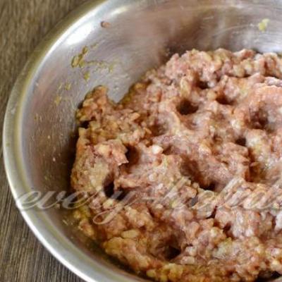 Cukkini darált hússal egy serpenyőben - receptek fotókkal