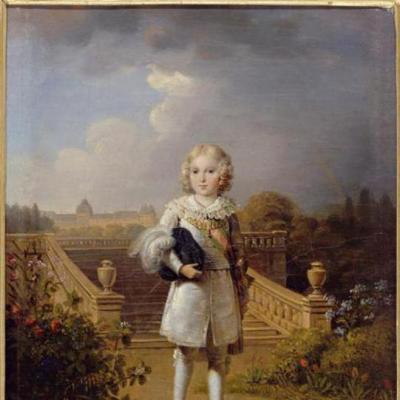 Napolyon Bonapart - biyografi Napolyon Bonapart hangi şehirde doğdu?