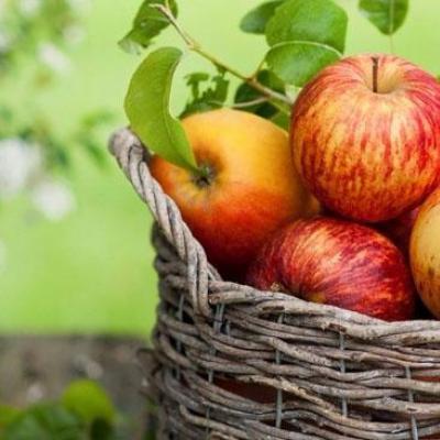 Come conservare il succo di mela da uno spremiagrumi?
